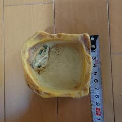 水入れの画像