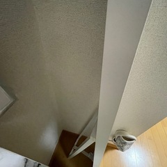 全身鏡 ニトリの画像
