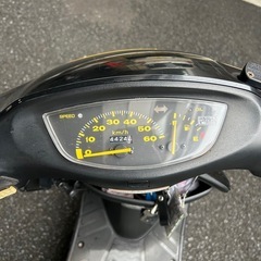 ライブdiozx
の画像