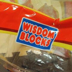 WISDOM BLOCKS 多色ブロックセット　知育玩具の画像