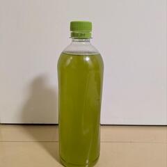 メダカ10匹500円、グリーンウォーターor浮草付きの画像