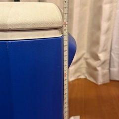 Colemanのクーラーボックスの画像