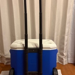 Colemanのクーラーボックスの画像