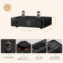 AIYIMA❣️T20 フルバランス Hi-Fi真空管 プリアンプ TUBEの画像