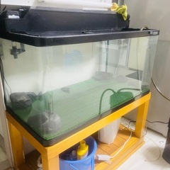 水槽と水槽台の画像