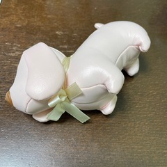 新品　わんちゃんジュエリーケースの画像