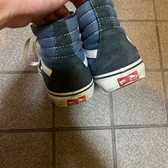 22.5cmVANSスニーカーの画像