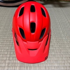 GIRO CHRONICLE MIPS Mの画像