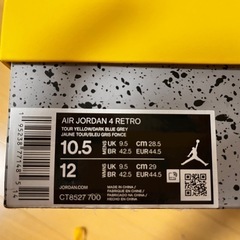 3万円のくつ　air jordan 4の画像