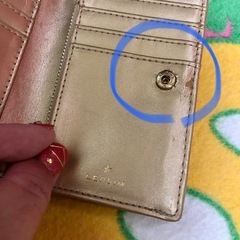 レプシィム財布の画像