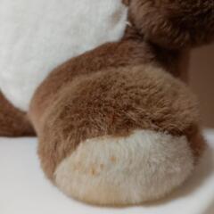 🐻クマのぬいぐるみの画像