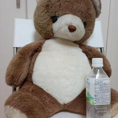 🐻クマのぬいぐるみの画像