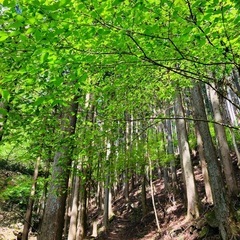 ハイキング　登山仲間募集
