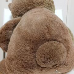 🐻クマのぬいぐるみの画像