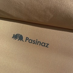 Pasinaz インフィニティチェアの画像
