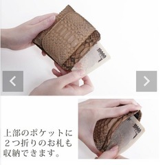 蛇の皮　本革のパイソンレザー 小銭入れ　コインケース　カード入れの画像