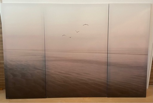 【IKEA/イケア】アートパネル3点セット （PJATTERYD/プィエッテリード）【廃盤】