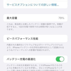 iPhone 13 Pro Max 256GB シエラブルーの画像