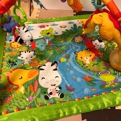 フィッシャープライス レインフォレスト デラックスジムの画像