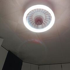 扇風機付きシーリングライトの画像