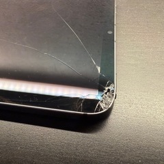 Apple iPad mini 第6世代 64GB セルラーモデル　画面ひび割れの画像