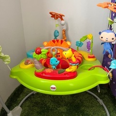 ジャンパルーフィッシャープライスのレインフォレストの画像