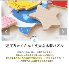 エドインター　二層パズル　フィッシングの画像