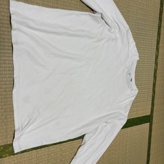 大きいサイズの画像