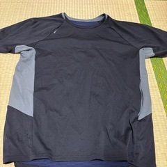 大きいサイズの画像