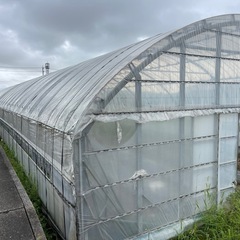 ビニールハウス 6m×42 D1タイプ　単棟　解体渡しの画像