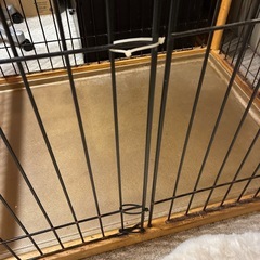 犬用ケージの画像