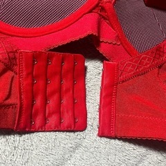 新品未使用。赤い下着、上下セットの画像