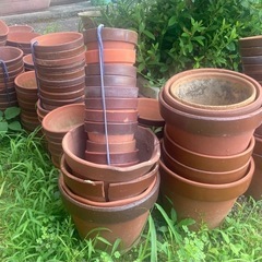 植木鉢 80円/個～ 約100個くらいありの画像