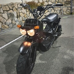ホンダ ズーマー AF58の画像