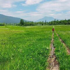 低山ハイク ,森遊び  きのこ狩りも Forest ｗalking, 