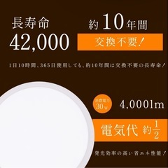 【お譲り決まりました】シーリングライトの画像