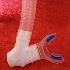 ダイビング　シュノーケル　OCEANIC　ARIDの画像