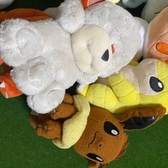 ポケモンぬいぐるみの画像