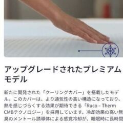 夏の感謝セール！札幌市近郊の方限定！送料無料！！エマ・スリープ エマ・プレミアム V2 シングルの画像