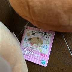 イーブイぬいぐるみ5点セットの画像