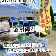 🌈昆虫くじイベント感謝御礼✨7/20わいわい市藤沢店✨