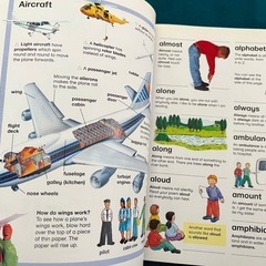 キングフィッシャー First Dictionary 英語 絵本 辞書の画像