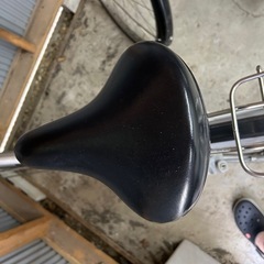 アルベルトシルバーの画像