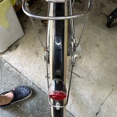 アルベルトシルバーの画像