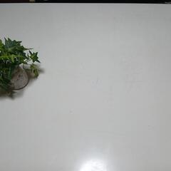 ダイニングテーブル ホワイトの画像
