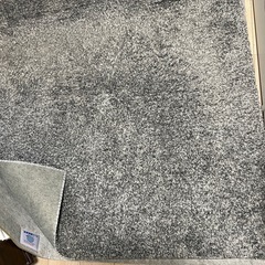 ニトリ製ラグと湿度調整用マットの画像