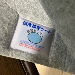 ニトリ製ラグと湿度調整用マットの画像