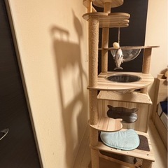 宇宙船付きキャットタワーの画像