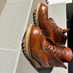 レッドウイング875の画像