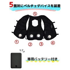 【限定商品・極上品】ワークマンWORKMAN　ペルチェベストPRO2 2025年モデル SPECIAL EDITIONスペシャルエディション　ICE×HEATERの画像